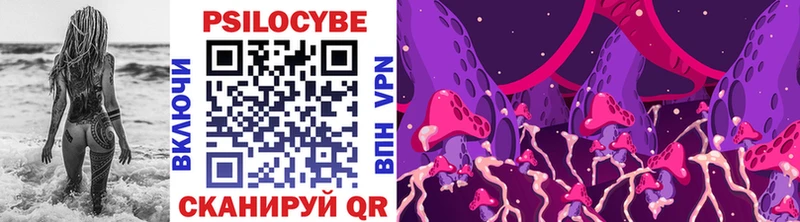 Купить где  Иноземцево  Галлюциногенные грибы Psilocybine cubensis 