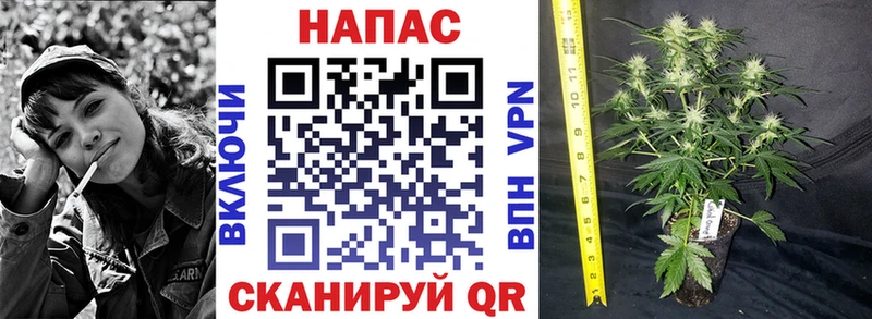 Купить где Иноземцево Бошки Шишки индика